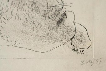 František Tichý - Lev Bobby, suchá jehla - 3