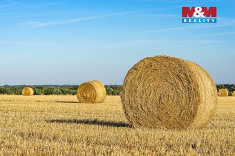 Prodej pole, 52753 m², Líně - 3