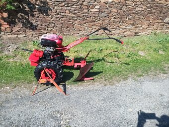 Tera Vari - 3