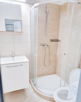 Pronájem bytu 1+kk+ zahrada, v koperníkově ul. v Plzni- Jižn - 3