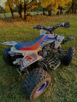 Yamaha raptor 250 - 3