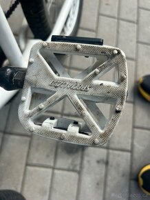 BMX Bulls - 3