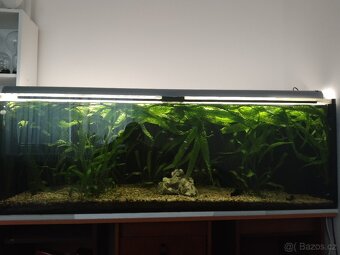 Akvárium 375L - 3