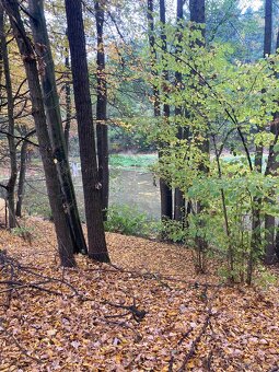 Pronájem pozemku v Semici u písku - 3