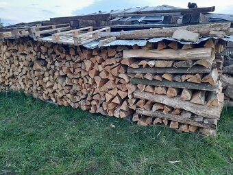 Prodam palivové drevo - 3
