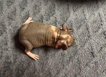 Skinny mořce s PP - 3