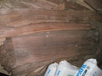 Dýha Dub , Lípa , ovocné  600m/2 - 3