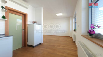 Pronájem bytu 1+kk, 41 m², Praha, ul. Kytlická - 3
