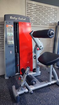 Biceps, triceps, prsa, leg - press - 3