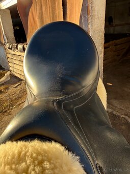 Drezurní Equiline - 3