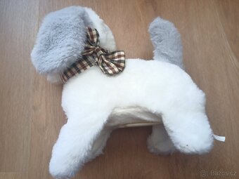 Chodici, stekaci pejsek - 3