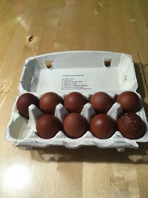 Násadová vejce maransky - 3