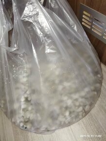8,5kg bílých kamenů do akvárka - 3