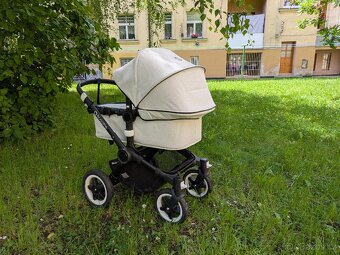 Buffalo Bugaboo - 3
