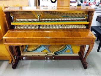 August Forster-Dovoz zdarma i na Štědrý 24.12. - 3