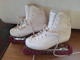 Krasobrusle Risport Electra Light - 3