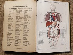 Zlatá kniha praktického lékařství domáccího - 3