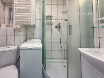 Pronájem bytu 1+1, 52 m² se zahradou a parkováním, ul. Mánes - 3