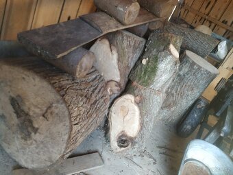 Prodám lipové dřevo - 3