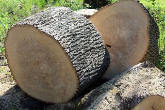 Palivové dřevo - 3