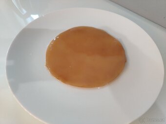 Kombucha (scoby) - 3