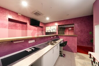 Pronájem komerčních prostor 230m2 Plzeň - 3