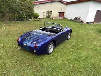 Austin healey froggy - 3
