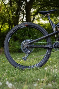 Propain Tyee CF 2022 29 - 3