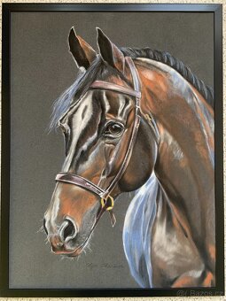 Obraz Portrét koně, pastel - 3