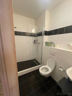 Apartman 1+kk Praha 5 - 3