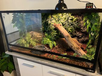 Terárium Repti Planet ( 90 x 45 x 45 cm) + vybavení - 3