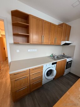 Pronájem bytu 1+1 na Příluku - 3