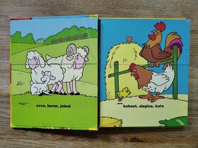 Dětská knížka Nauč se poznávat zvířátka SVOJTKA - 3
