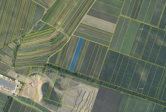 1ha vinice v atraktivní vinařské oblasti – Novosedly - 3