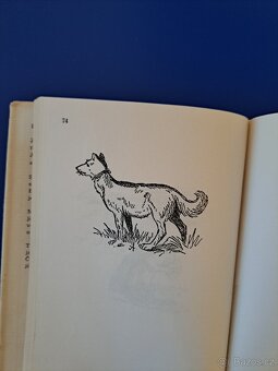 Kniha ŠEL MALÍŘ CHUDĚ DO SVĚTA - 3