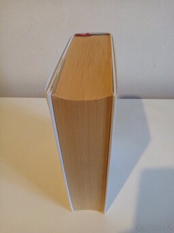 Anthony Giddens - Sociologie - 3