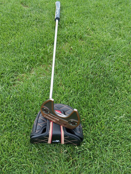Putter Taylor Made Ardmore 3 TP colletion - 3
