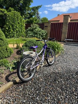 Dětské kolo Specialized Hotrock 20 - 3