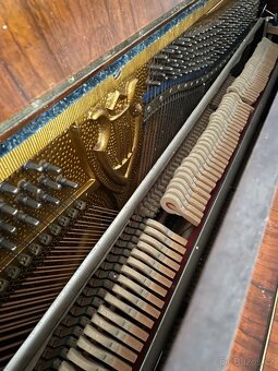 Piano značky Hofmann & Czerny - 3