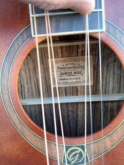 Akustická kytara Gilmour Antique W48 - 3