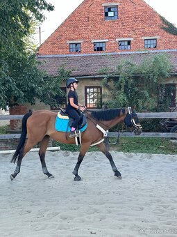 Valach na rekreaci - 3