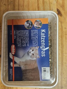 Tráva pro kočky 100 g - 3