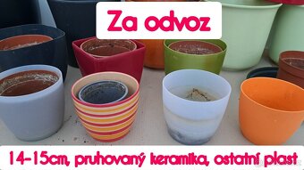 Květináče - daruji za odvoz - 3