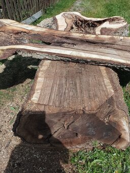 Ořechové fošny 85mm silné - 3