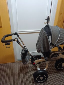 Tříkolka "Trike Fix" do 30kg - 3