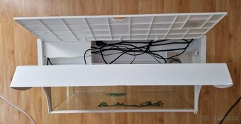 Terarium Lucky Reptile Bearded Dragon - 3