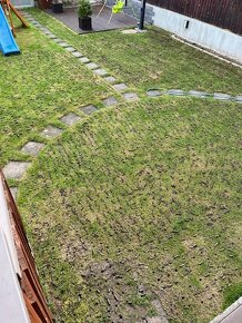 Aerifikační (provzdušňovací) vidle - 3