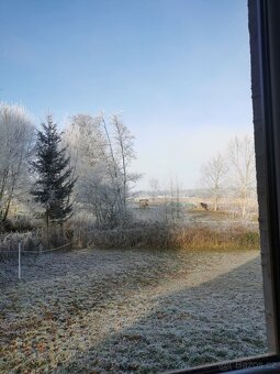 pastevní ustájení - 3