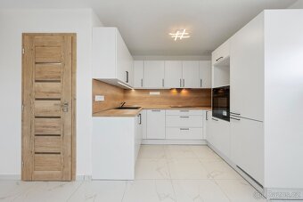 LUXUSNÍ ateliér Čebín 1+1 97m2( vč. zahrada, parking) - 3