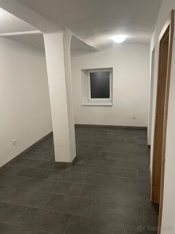 Pronájem - 3